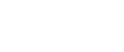 Vehicle Towing Service